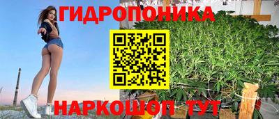 кокс Бийск
