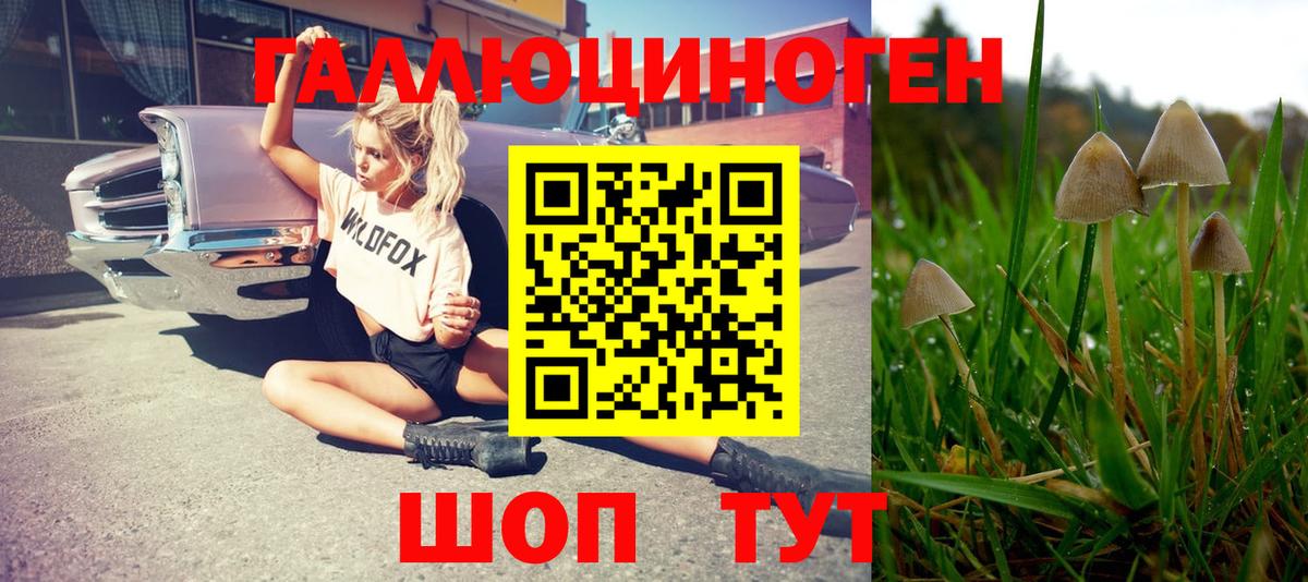 Псилоцибиновые грибы Psilocybe  Вход с VPN  Псилоцибиновые грибы GOLDEN TEACHER  Каспийск 