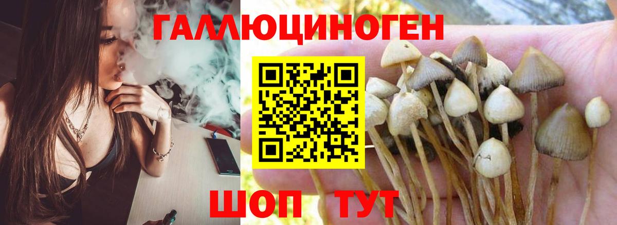 Галлюциногенные грибы мухоморы Каспийск